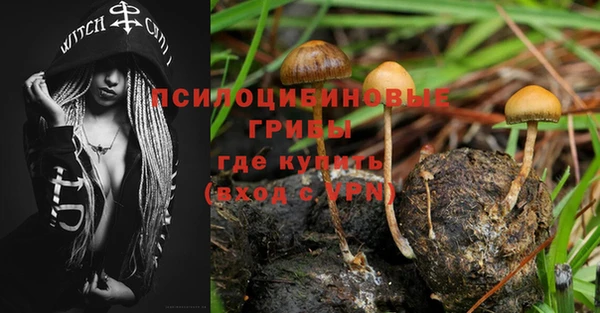 2c-b Елабуга