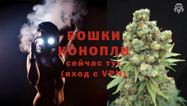 2c-b Елабуга