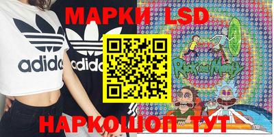 стафф Кимры