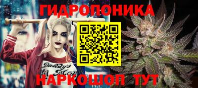 каннабис Кингисепп