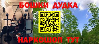 стафф Кимры