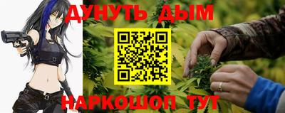 каннабис Кингисепп