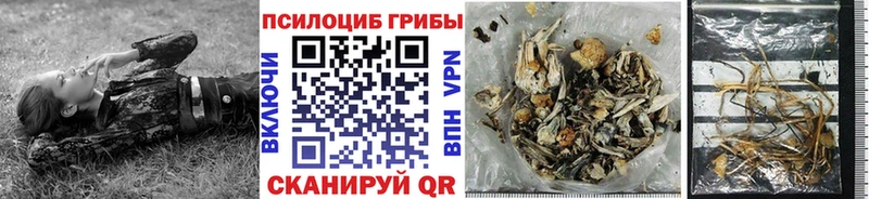купить  цена  Пушкино  Галлюциногенные грибы GOLDEN TEACHER 