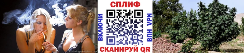 даркнет сайт  Пушкино  Шишки марихуана конопля 